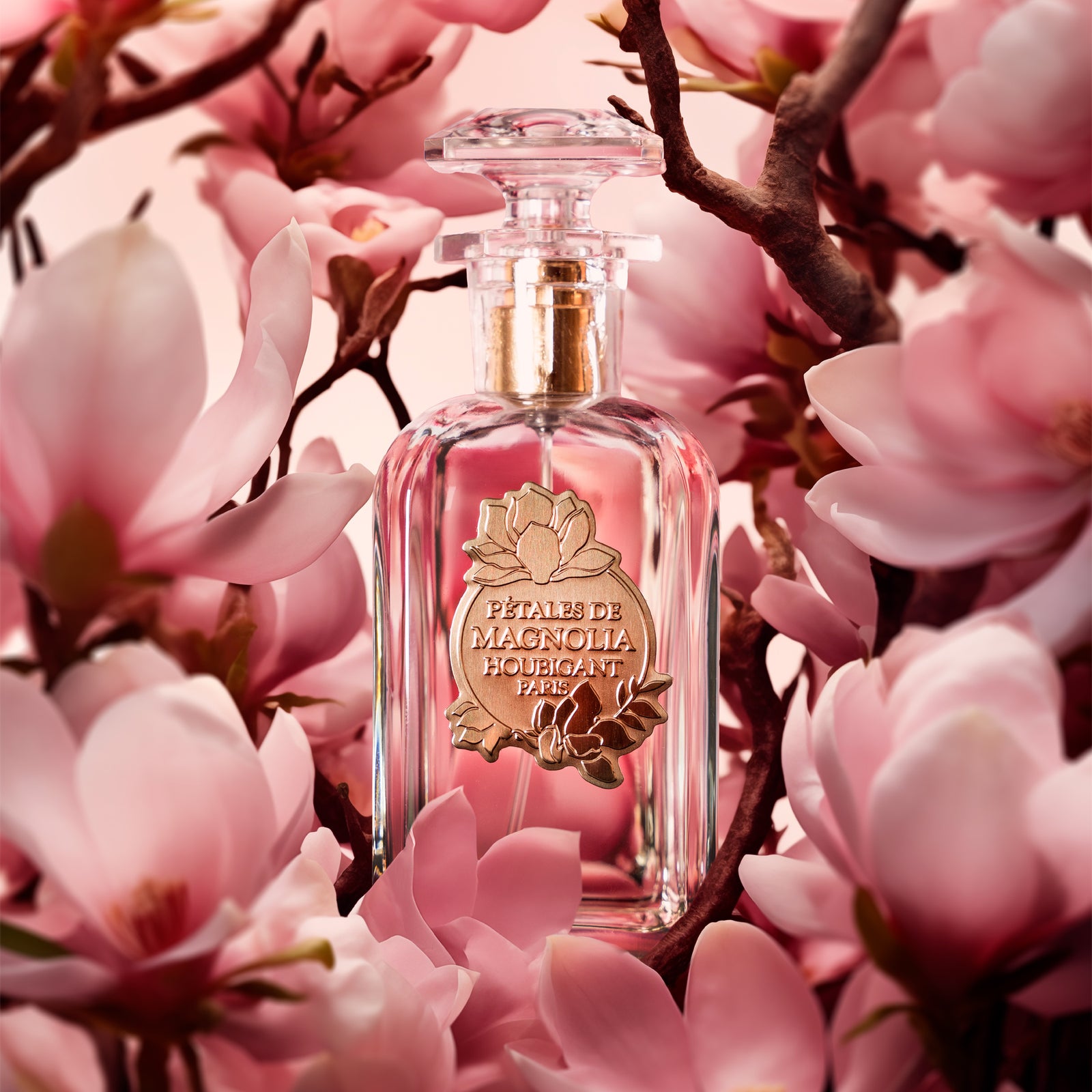 PetalesdeMagnolia2000x2000px_1