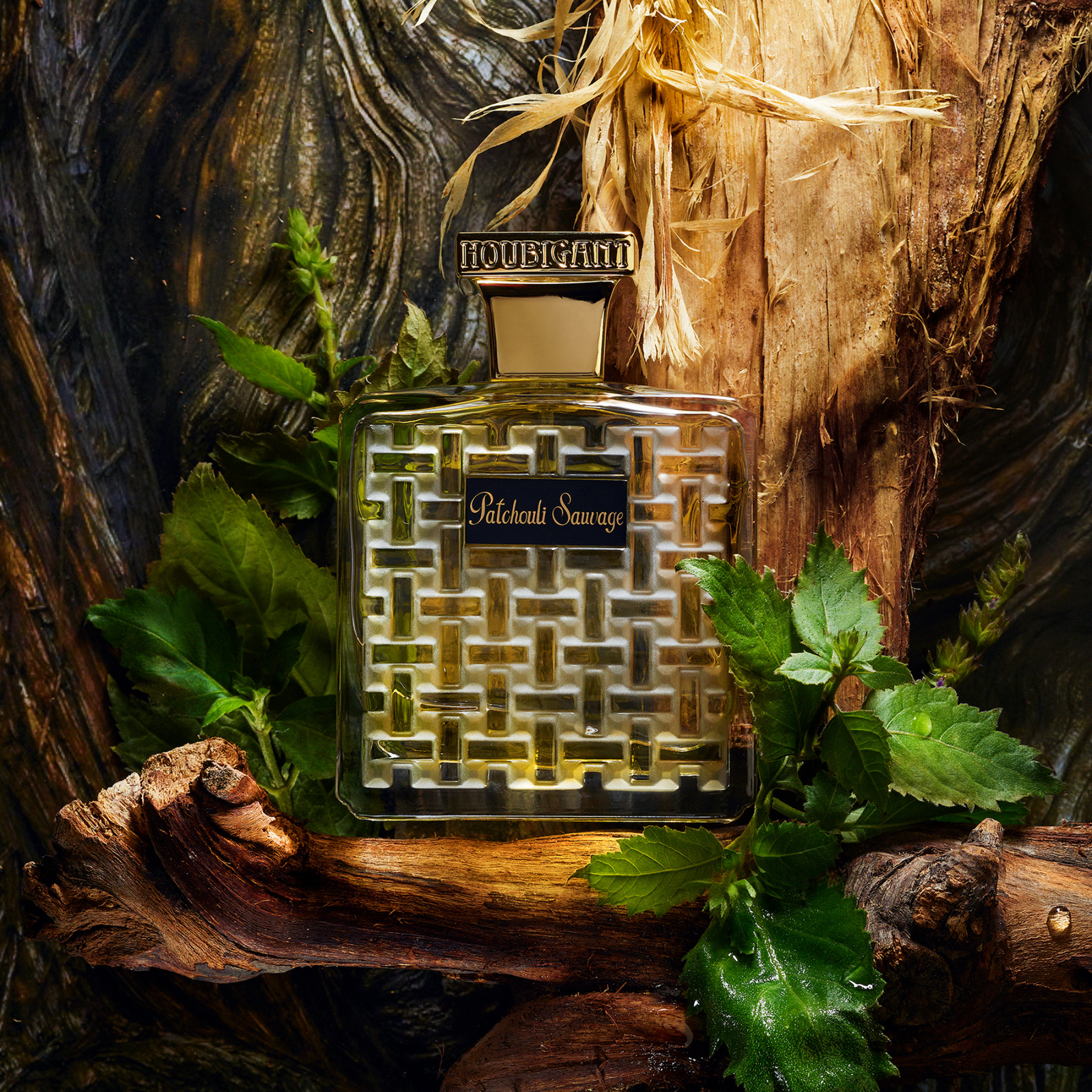 Patchouli Sauvage Eau de Parfum Houbigant Paris